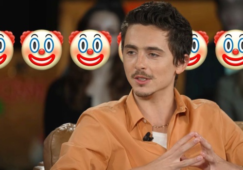 Timothée Chalamet zrujnował swój wizerunek jednym zdaniem. Ręce opadają