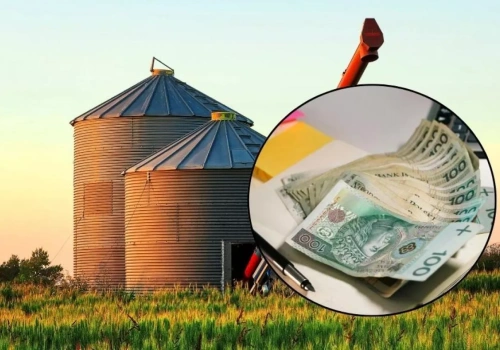 Więcej czasu na rozliczenie silosów z ARiMR. Co muszą zrobić rolnicy, aby otrzymać całą kwotę finansowania?