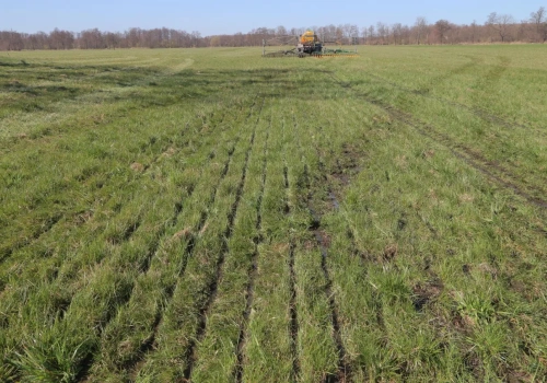 Tyle kosztuje hektar łąki w twoim województwie. Sprawdź nowe ceny