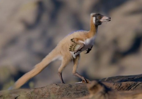 W cieniu tytanozaurów kryło się coś fascynującego. Mały dinozaur z Patagonii okazał się kluczem do przeszłości