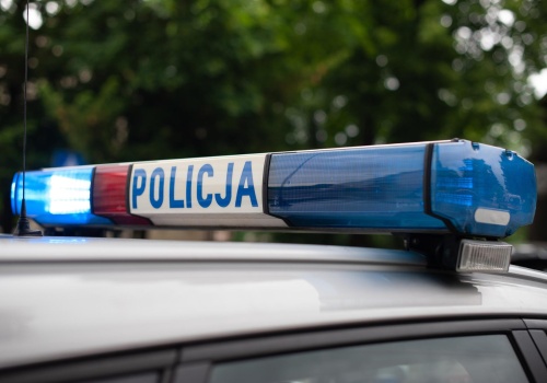 Tragedia podczas wycinki drzewa pod Ozimkiem. Nie żyje mężczyzna