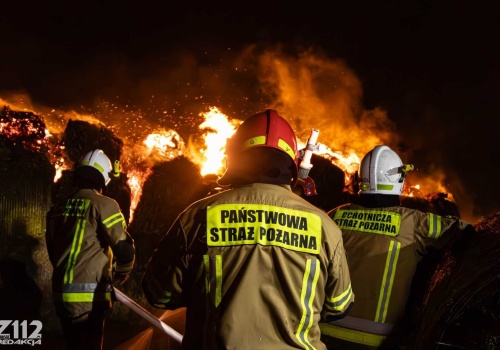 Ilu jest strażaków w Polsce? Sprawdziliśmy!
