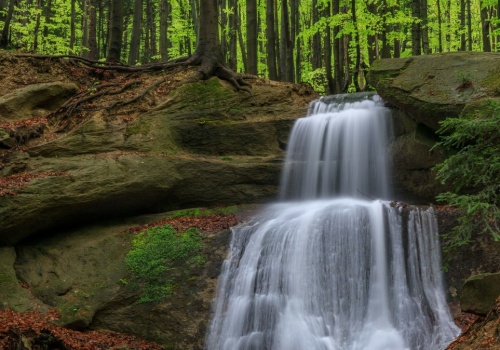 Urokliwa kaskada otoczona bukowym lasem. Idealny cel na wiosenny spacer