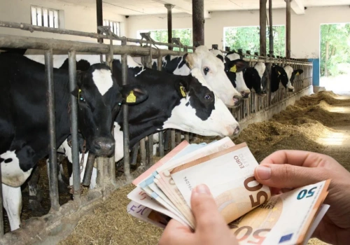 UE otwiera rynek. Polskie mleko może zapłacić najwyższą cenę