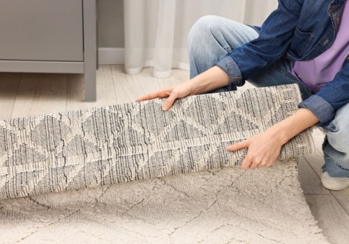 Mogą zniszczyć twój dywan czy płaszcz. Tak wygonisz szubaki z domu