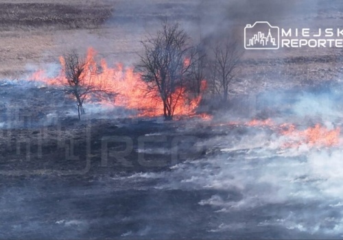 Duży pożar traw pod Warszawą! Ogień buchał na kilka metrów