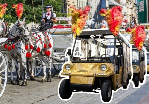 Chcą wycofania koni z rynku w Krakowie. Dorożkarze: Konie ważniejsze niż my?