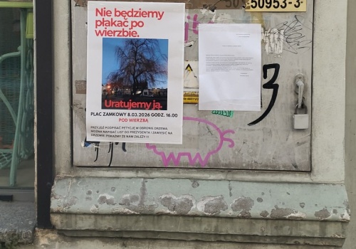 Nie będziemy płakać po wierzbie. Spotkanie w obronie drzewa