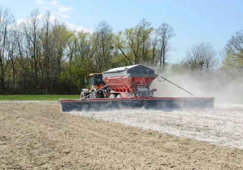 Jak wapnować pole pod kukurydzę? Sprawdź najważniejsze zasady