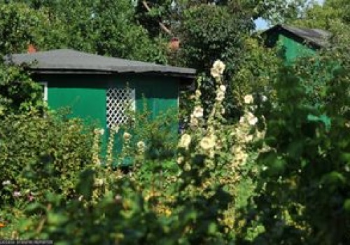 Zrobisz to na działce, więcej na nią nie wejdziesz. Bolesne sankcje