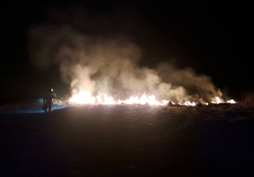 Nocny pożar traw. Interweniowała straż pożarna i policja
