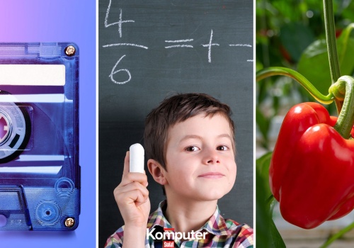 Morderczy quiz z wiedzy ogólnej. 13/20 tylko dla chodzących encyklopedii