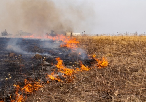 10 lat więzienia i wysokie grzywny za wypalanie traw