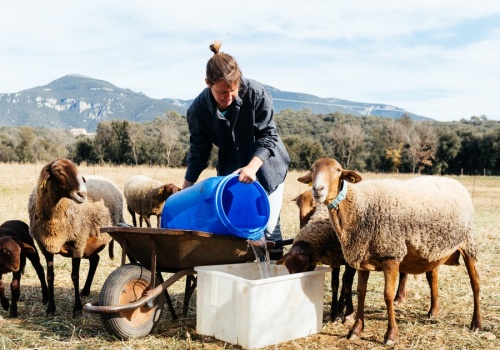 Kobiety na halach. Coraz więcej pań w zawodach juhasa i bacy