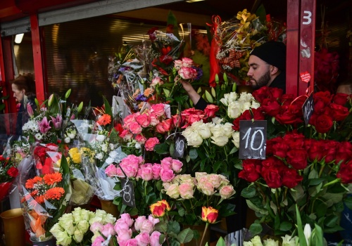 Tulipany dla pań, cisza dla panów