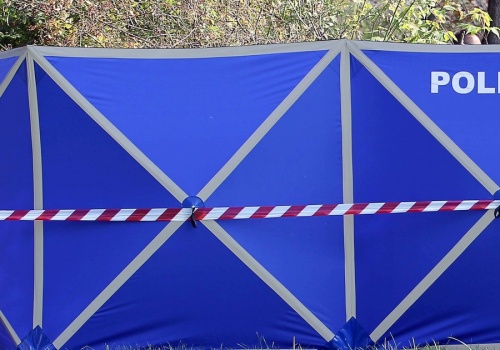 Tragedia podczas zbierania szyszek pod Nowym Tomyślem. Nie żyje jedna osoba, dwie ranne