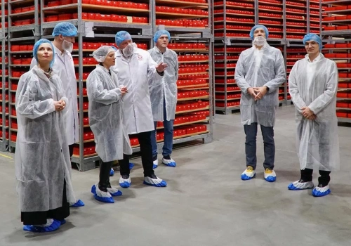 Nowa technologia w mleczarni. Tak SM Ryki ogranicza zużycie energii