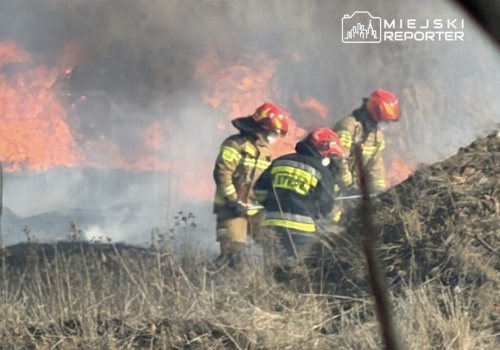 Duży pożar nieużytków w rejonie Lotniska Chopina. Panuje duże zadymienie. Trwa akcja gaśnicza