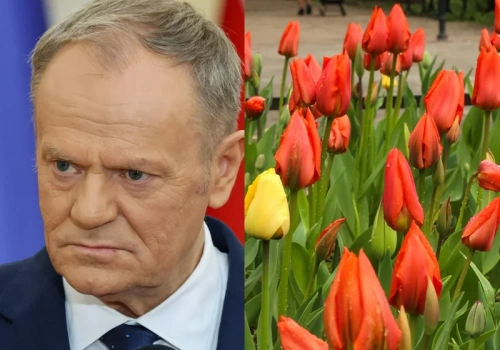 Donald Tusk chciał uczcić Dzień Kobiet. Jego wpis wywołał jednak lawinę kpin