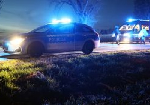 Tragedia przy zbieraniu szyszek. Jedna osoba nie żyje