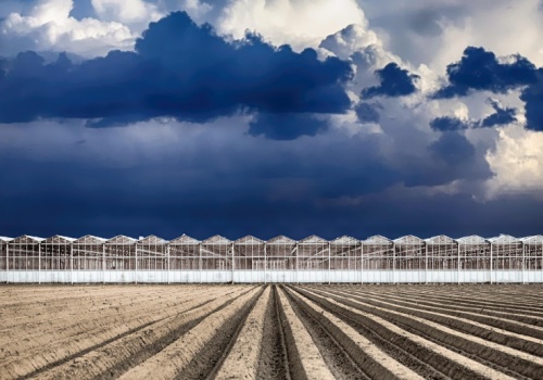 18 hektarów upraw pod szkłem. Wielkie gospodarstwo warzywnicze powstaje pod Lwowem
