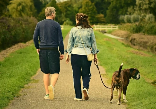 Kontrowersje wokół KROPiK-u. 