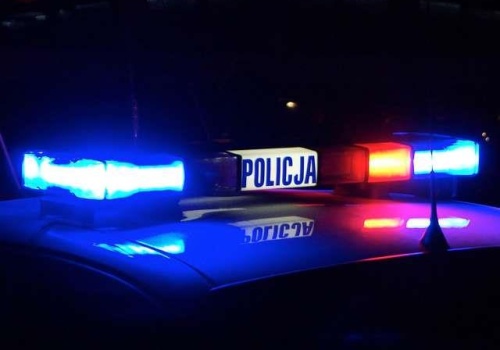 Zamiast w fotelu pasażera siedziała na… drzwiach samochodu