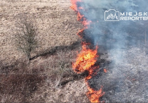 Mazowsze znów płonie. Straż alarmuje po serii pożarów traw i nieużytków (WIDEO)