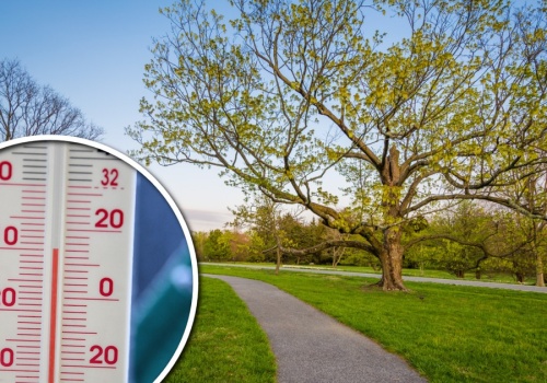 Ciepły marzec to nie wszystko! Na początku kwietnia będzie chłodniej. Jeszcze nie pora na wiosnę