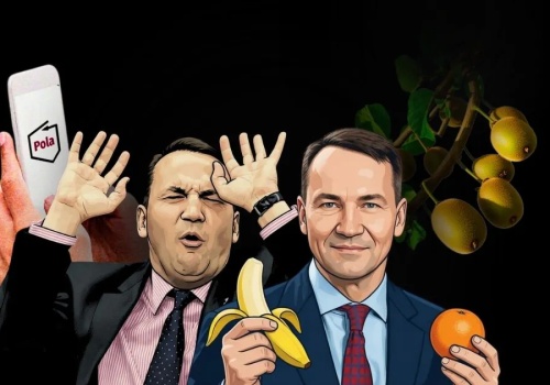 Dlaczego finansujemy cudze czempiony? O polskiej naiwności gospodarczej