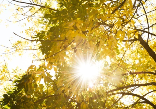 Dużo słońca w całym mieście. Pogoda na poniedziałek