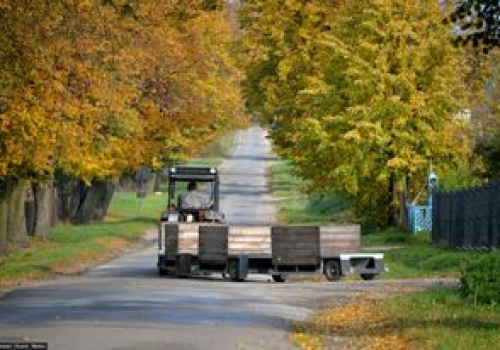Polscy sadownicy liczą na Ukrainę. Rośnie cena polskiego przysmaku