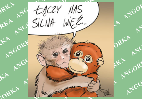 Niezwykła przyjaźń makaka i pluszaka. Wzruszające zdjęcia podbijają internet