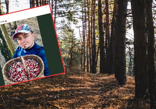 Pokazał, jakie grzyby zebrał w lesie w marcu. 