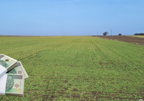 ARiMR uruchamia dopłaty do kredytów preferencyjnych. Nowe limity dla rolników od 6 marca