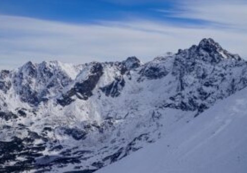 Atak niedźwiedzia w Bieszczadach. Eksperci ostrzegają przed wiosną