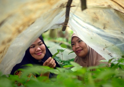 Gigant zainwestuje 50 mln w dodatkowe działania. Wsparcie ludzi, planety i zwierząt