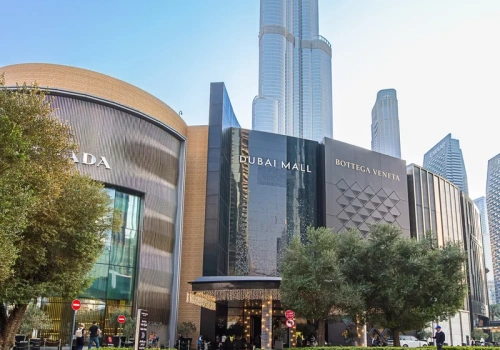 Oberwało się Polakom pracującym w ZEA. „Pojawił się wpis nazywający nas »cynicznymi bydlakami«”