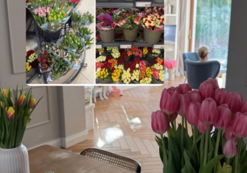 Kupił tulipany w Lidlu i wywołał oburzenie. 