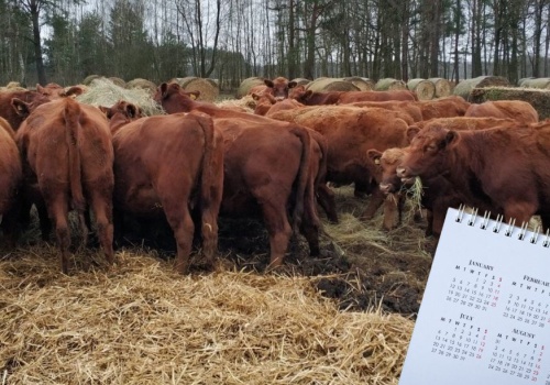 Dobrostan zwierząt 2025. Ważne terminy dla hodowców do 21 marca