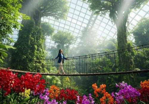 Radni zorganizują spotkania w sprawie Dżungli 360. Miejskie konsultacje „nie spełniają standardów”