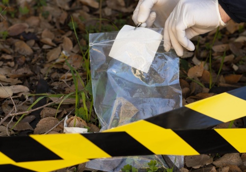 Wynalazek zespołu naukowczyni z Gdańska ma usprawnić pracę laboratoriów i organów ścigania