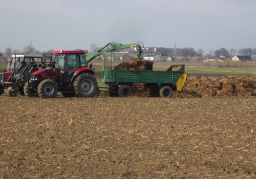 Czas na wiosenny obornik. O jakich zasadach należy pamiętać?