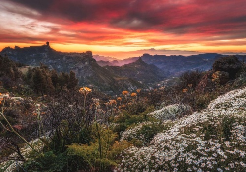 Sensacyjne odkrycie w Bentaydze: neolityczna sierp z Gran Canaria