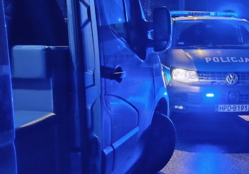 Zderzenie dwóch aut z łosiem. Są utrudnienia na drodze krajowej nr 19