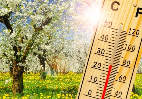 Polska wiosna nie potrwa długo. Meteorolodzy mają złe wieści