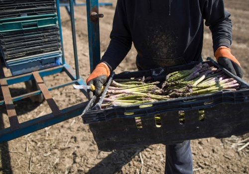 Brytyjczycy w obliczu zmian klimatu. Eksperci wzywają do gromadzenia żywności