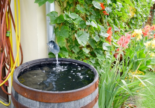 Myjesz auto albo podlewasz ogród deszczówką? W niektórych przypadkach to bardzo zły pomysł