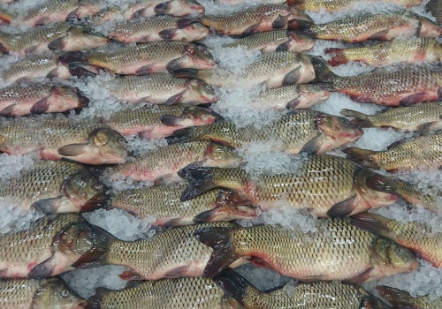 Więcej czasu na realizację inwestycji A1.4.1 w ramach KPO