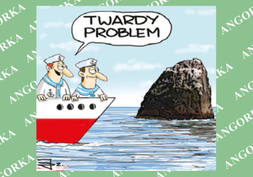 Rockall. Mała skała, wielki spór